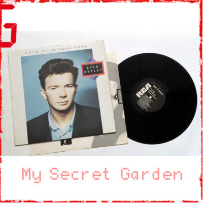 Rick Astley ‎- Hold Me In Your Arms 1988 UK Vinyl LP ***READY TO SHIP from Hong Kong***